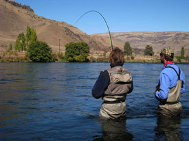 A guide watches a client fight a steelhead!